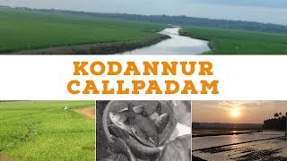 Kodannur Callpadam