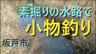 坂戸市の素掘りの水路で小物釣り【坂戸市】☆smallfishing in Saitama  Japan☆