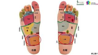 鄰舍輔導會養生系列：腳底按摩(下)