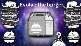 Getting burger cat and evolving it to meal cat