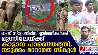 വിദ്യാർത്ഥികൾക്ക് മുന്നിലേയ്ക്ക് കാട്ടാന പാഞ്ഞെത്തി CCTV ദൃശ്യം, നടുക്കം മാറാതെ നാട്  | ELEPHANT