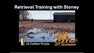 Retrieval Training with Stoney | DT System Super Pro in Action!