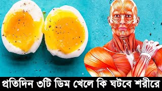 কি ঘটবে যদি প্রতিদিন ৩ টি ডিম খাওয়া শুরু করেন?