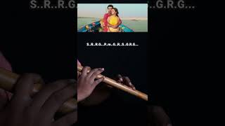 Kesariya Easy Flute Notes | #kesariya #flutenotes #flutetutorial #kesariyasong #flutecover #flute