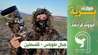 جولة برية 4: ابو الحناء الزائر عصفور الشمس الفلسطيني المقيم الكركي المهاجر حيوان الوبر الصخري