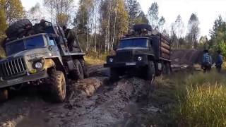 Mudrunner in real life