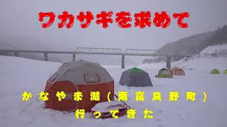 【ワカサギ釣り_かなやま湖】ワカサギ釣り in かなやま湖