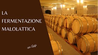 La fermentazione malolattica