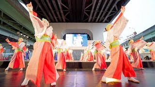 [4K] ミヤタジュクJAPAN　泉州YOSAKOI ゑぇじゃないか祭り 2019