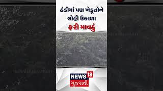 ઠંડીમાં પણ ખેડૂતોને લોહી ઉકાળા, ફરી માવઠું | Rain Update | Weather Forecast | Farmers | N18S