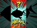 Who's That ANIMAL?! (ep. 10) #shorts #animals #quiz