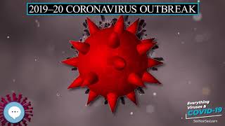 2019–20 coronavirus outbreak 🧫👩🏾‍⚕‍🤒 Everything Viruses & COVID-19 🤒👩‍⚕‍🧫