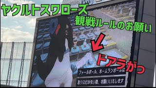 つば九郎から観戦ルールのお願い。何度見ても笑えるつば九郎とドアラ(2022年7月25日)