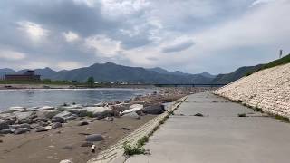 Chikuma River, Nagano Prefecture 長野県上田市 千曲川沿い宇