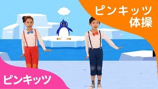 ペンギンたいそう | ピンキッツ体操 | ピンキッツ童謡