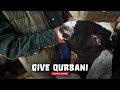 Give Qurbani