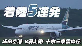 【4K】成田空港 十余三東雲の丘 Ｂランに着陸する飛行機５連発