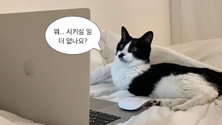 [일할 때 듣는 CCM Playlist] 듣다보니 일이 벌써 끝나버렸다..🧑🏻‍💻 | 나만 알고 싶은 찬양 플리 🎧| study, work, rest, christian