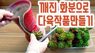 (ENG)깨진 화분에 다육이 심기?? 다육작품 만들기! Potting Korean Succulent in a Broken Flower Pot? (多肉植物)(たにくしょくぶつ)