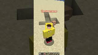 what does EVERY nametag easter egg mean in minecraft? #minecraft