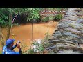 Beginilah yang terjadi!! Jika Mancing Di lubuk ikan Baung. Di buat kualahan streekk