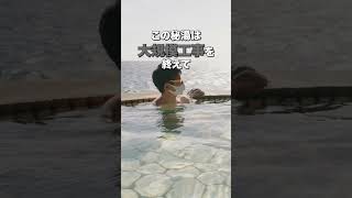 【静岡県温泉】アメリカが見える海からゼロ距離の秘湯｜北川温泉の黒根岩風呂 #温泉 #秘湯 #伊豆温泉