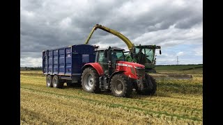 Winter Barley Wholecrop 2021. John Deere 8800i self-propelled plus MF and JD tractors