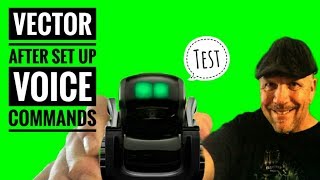 Vector After Set up Voice Command review