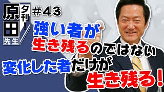 夕刊！#043「強い者が生き残るのではない 変化した者だけが生き残る!」