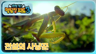 명탐정 피트 3 - 전설의 사냥꾼