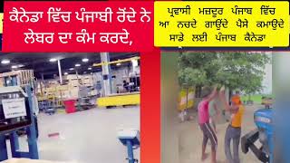 ਪ੍ਰਵਾਸੀ ਮਜ਼ਦੂਰ punjabi news today news #news #punjabnews#punjabistat  #new#punjabi #viralvideo