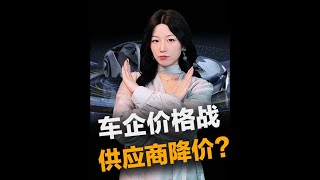 汽车价格战还来？供应商降价10%？#车星计划 #王大沁