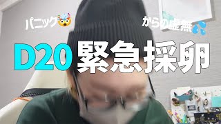 【不妊治療】D20普通に病院行ったら即採卵へ。色々ありすぎて結果虚無.../40代vlog