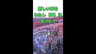 神はあなたを新しい道へと導く！一発であなたを元気にする！聖書の言葉シリーズ【134】#Shorts #聖書