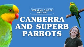 Weekend Birder 54 - Canberra and Superb Parrots