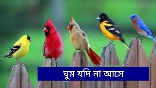 ঘুম যদি না আসে গভীর রাতে প্রভুর lyrics || ghum jodi na ase govir raate