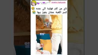 بموت فهاوة تاي 😂 كسر اللعبة بس عشان يفوز #kajintae #shorts #keejw