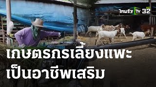 เกษตรกรเลี้ยงแพะเป็นอาชีพเสริม สร้างรายได้ | 21 มิ.ย. 66 | ตะลอนข่าว