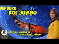 MINGGU INI DAPAT KOI JUMBO, DI PASAR IKAN PURWONEGORO