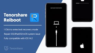 No.1 iPhone Recovery Mode Software  - ReiBoot Fix iOS Stuck