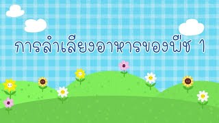 วิทยาศาสตร์ ม.1 (การลำเลียงอาหารของพืช ตอนที่ 1)