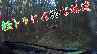 [スーパーキャリイ]林道でデフロック走行動画　後編