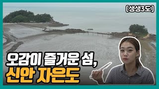 [생생3도] 오감이 즐거운 섬, 신안 자은도｜KBS 220715 방송