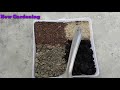 টবের মাটি তৈরি how to make potting mix