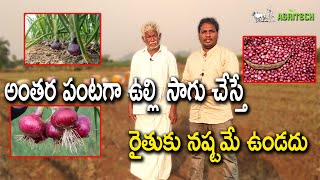 అంతర పంటగ ఉల్లి సాగు | Inter Crop with Onion | AgriTech Telugu