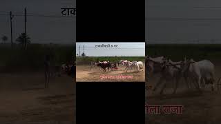 टाकळीवाडी जनरल गट