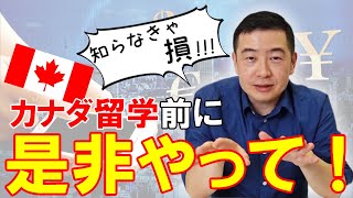 【海外送金WISE】3分解説／渡航前に設定必須のサービス