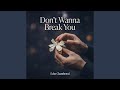 Don't Wanna Break You