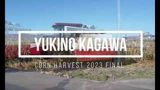 2023Harvest Final　＃YH700 ＃ヤンマーコーンヘッド　＃ヤンマーコンバイン　＃子実とうもろこし