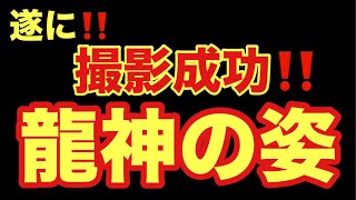 「緊急配信」龍神が宿る究極の神域‼️龍神に出逢えた人は来年巳年大飛躍間違えありません